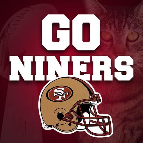 go-niners-2013