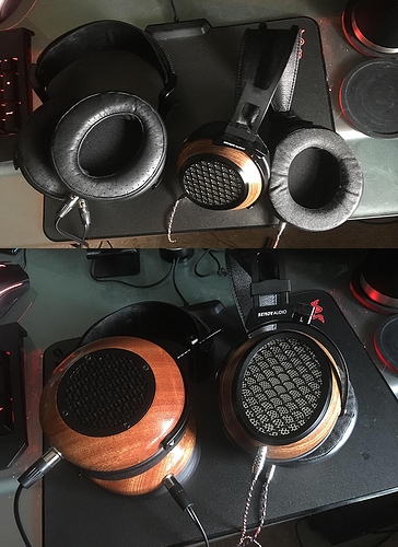 zmf_aiva