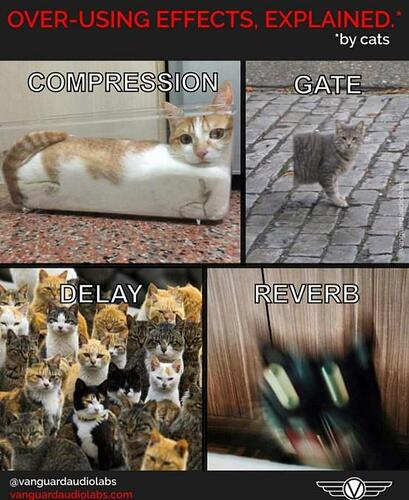 audio%20gear%20cat