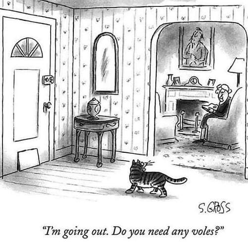 90676439_10219175860640342_1388548384037535744_n