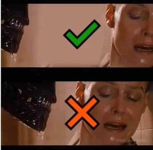 91839966_10157206352146483_8290145973523447808_n