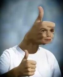 thumbs-up-meme-vobss-500x612-558613152