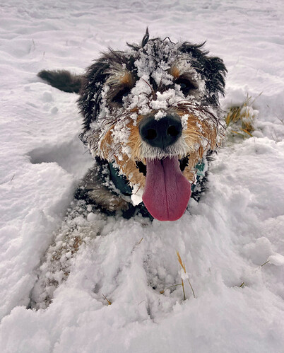 829A8A60-CC4C-45E6-84E0-5056A0B6E0BE_1_201_a