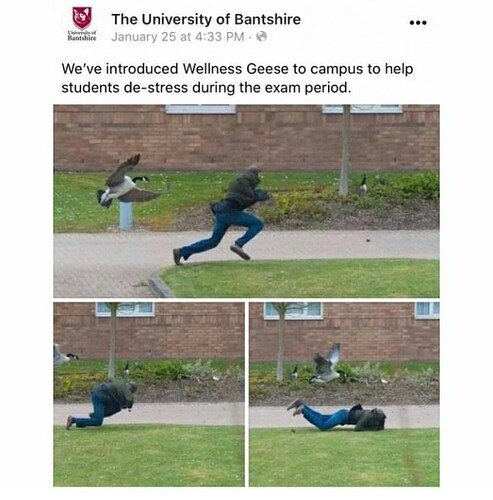 17429352915158655785418961334917