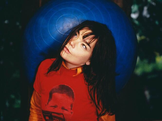 Björk in 1995b