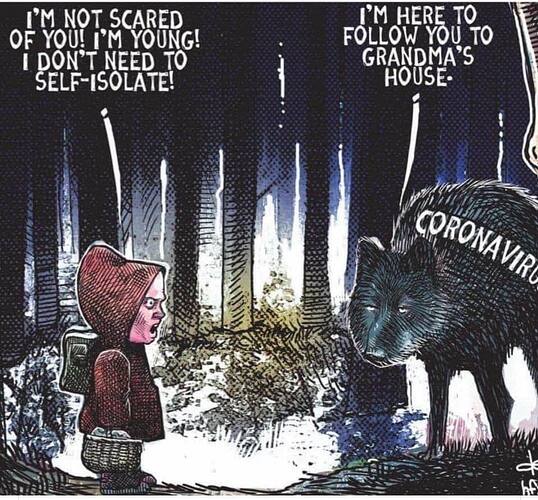 106500772_10157451002478225_5476775143492980729_n