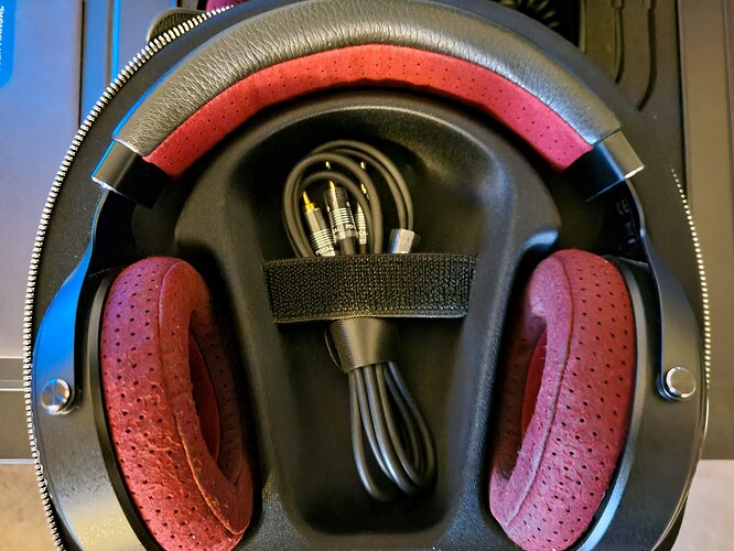 headphone in case