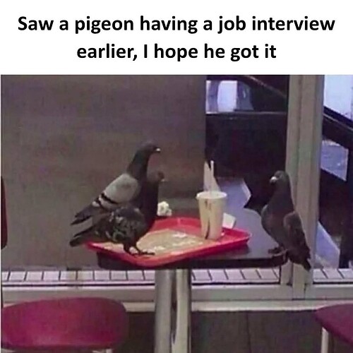 555461721_1327068615744752_7742458742250242173_n