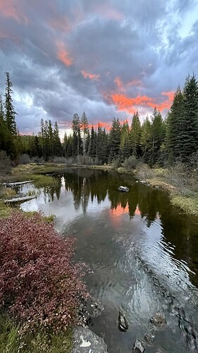 2E842CAD-C751-4963-99CD-F825140960EA_1_105_c