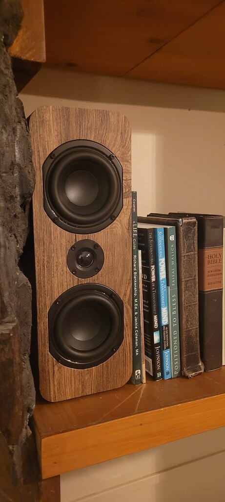 Rb42c wrapped with a Dinas feel - Speakers & Subwoofers - HifiGuides Forums