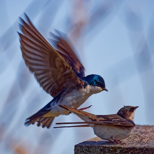 _M7A4256_DxO