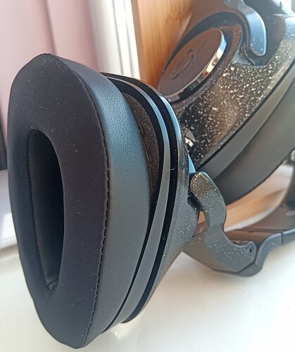 EarPads (4)