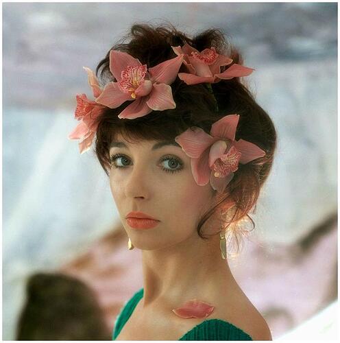 Kate Bush 2