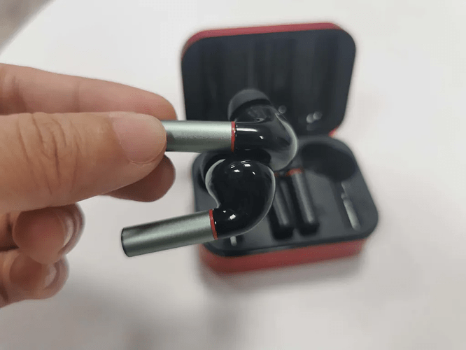 EARBUDS (1)