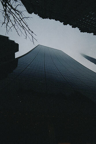 dclassic 2026-03-07 1639490BDFEACF373B