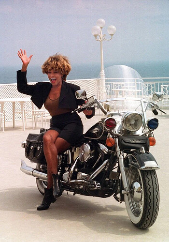 Tina Turner in 1993 3