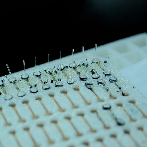 622365097_1511487250485910_8087294894809833912_n