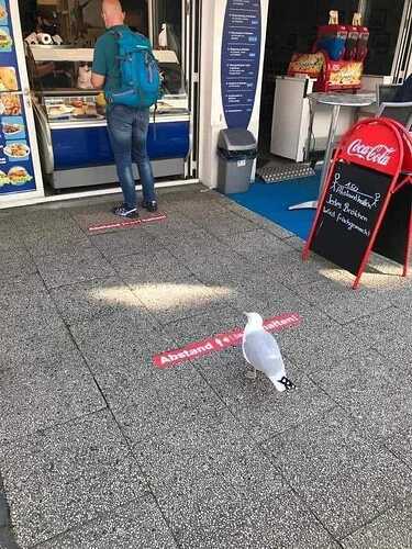 107653761_275823673834447_3365147890308929795_n