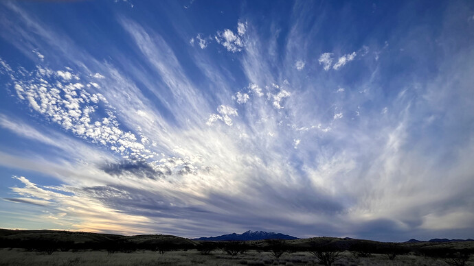 1A178D47-5C00-4B08-8EE7-417DA27AE6AD_1_201_a