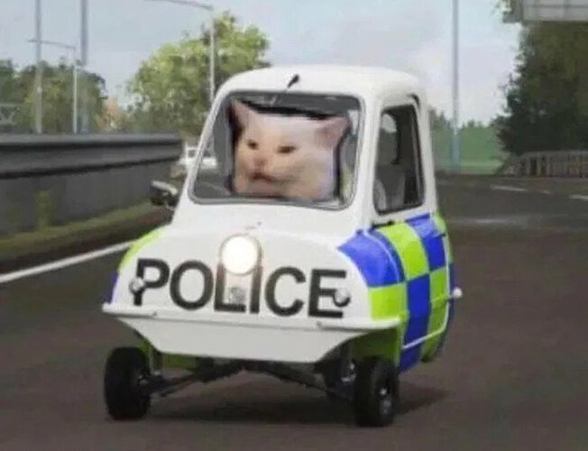 Cat Police Car