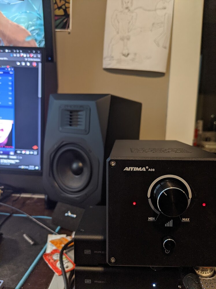 Aiyima A08 TPA3255 Amp (great budget speaker amp) Speaker Amps