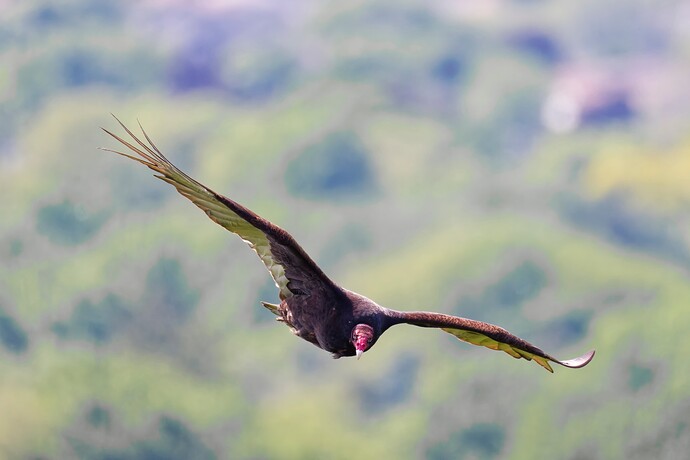 _M7A9384_DxO_1