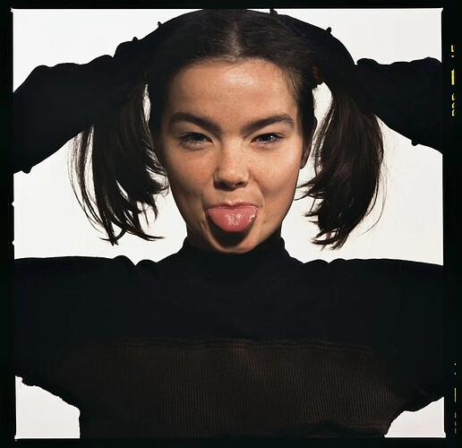 Björk 1