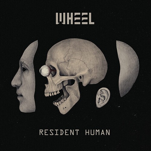wheel-resident-human-vinyl-WEB-3K-scaled