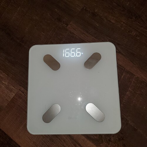 20241024_172140
