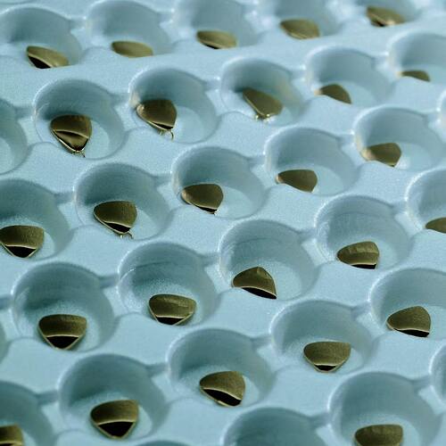 618803812_1511464087154893_444570289011485616_n