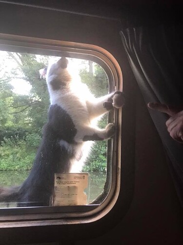 3B83D69C-9CED-41A2-B8FB-E59833713044_1_105_c