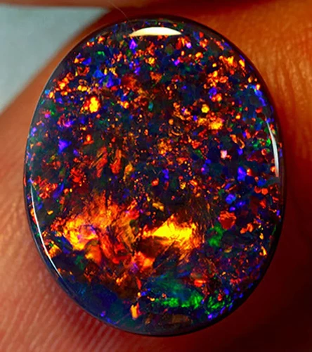 Black-Opal-2-910x1024