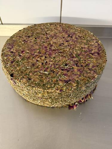 624675965_1363700058889167_6637086940918194780_n