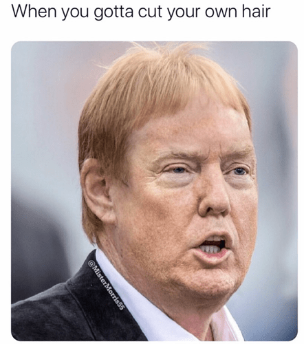 when-you-gotta-cut-your-own-hair-donald-trump-mark-davis-meme