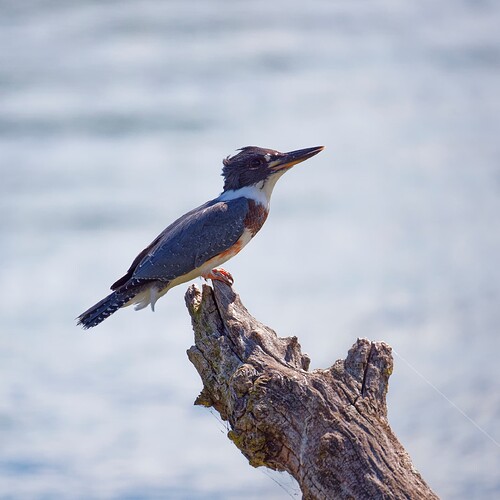_M7A0201_DxO