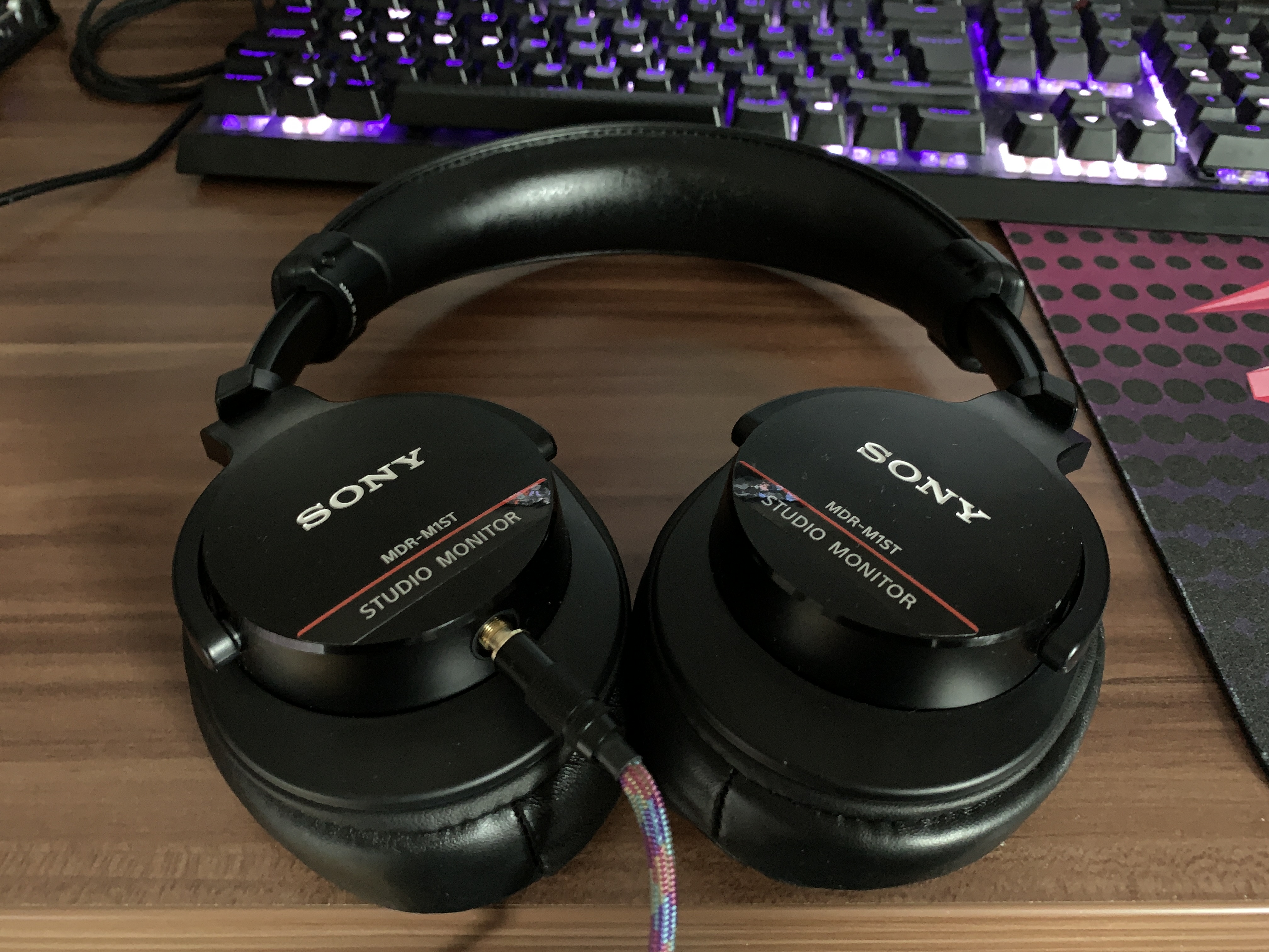 Sony MDR-M1ST