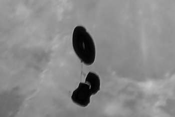 1000012713