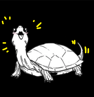 turtle2