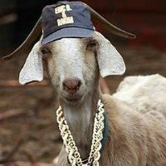 avatars-IJJVER4yzoEEw9g6-2zfRtQ-t240x240