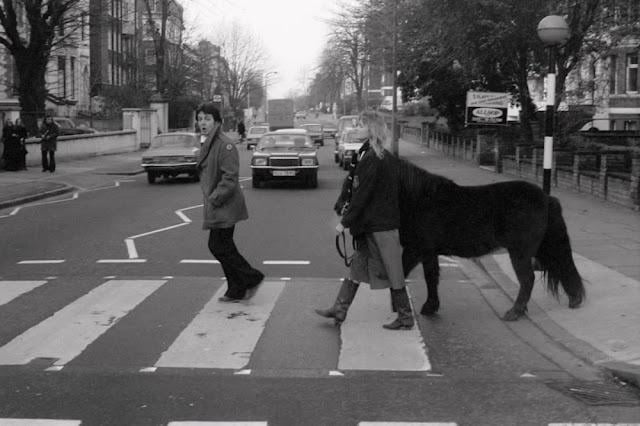 Paul and Linda McCartney crossing Abbey Road with their pet pony Jet in 1977