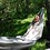 Charles_Phillips
